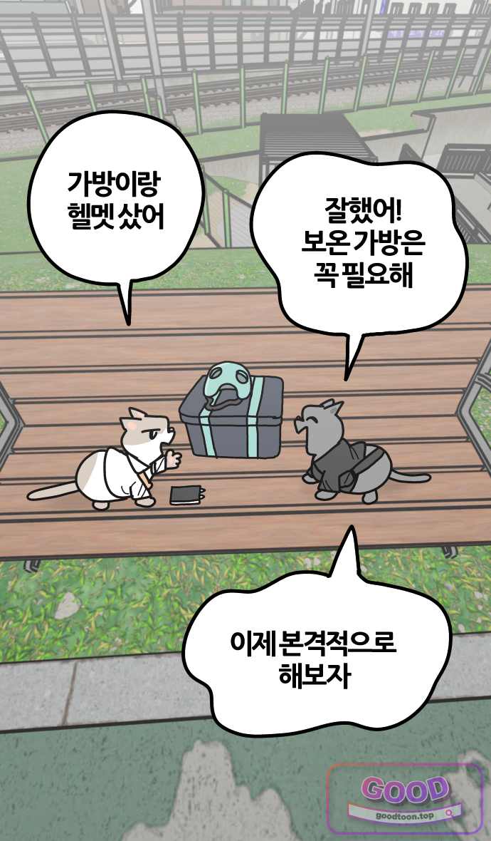 사회초년캣 39화 새 일 1