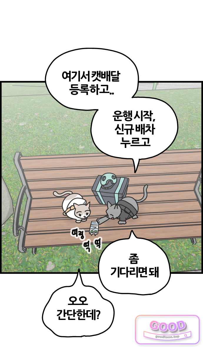 사회초년캣 39화 새 일 2