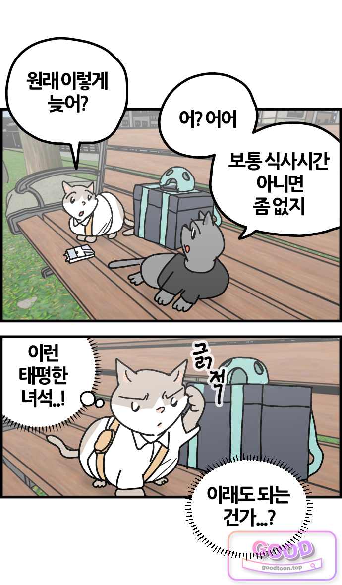 사회초년캣 39화 새 일 4
