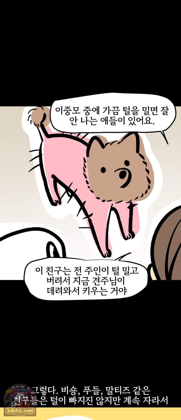 개집사 227화 빡빡 4