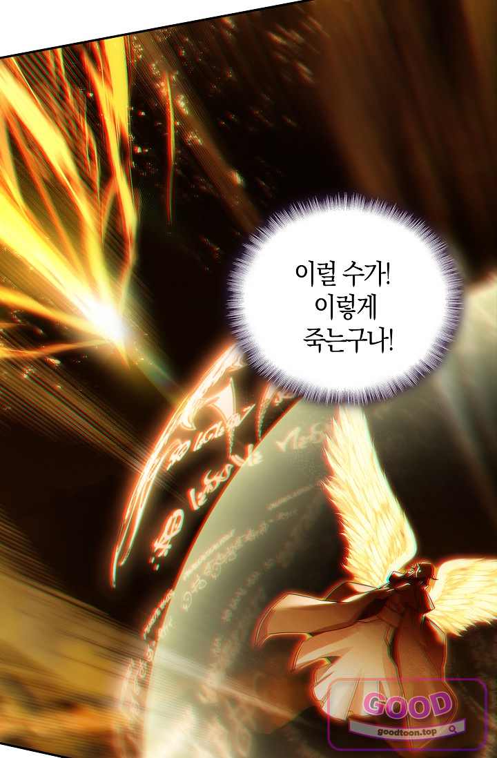 사신 영웅전: 바보 마법사 영웅이 되다 262화 12