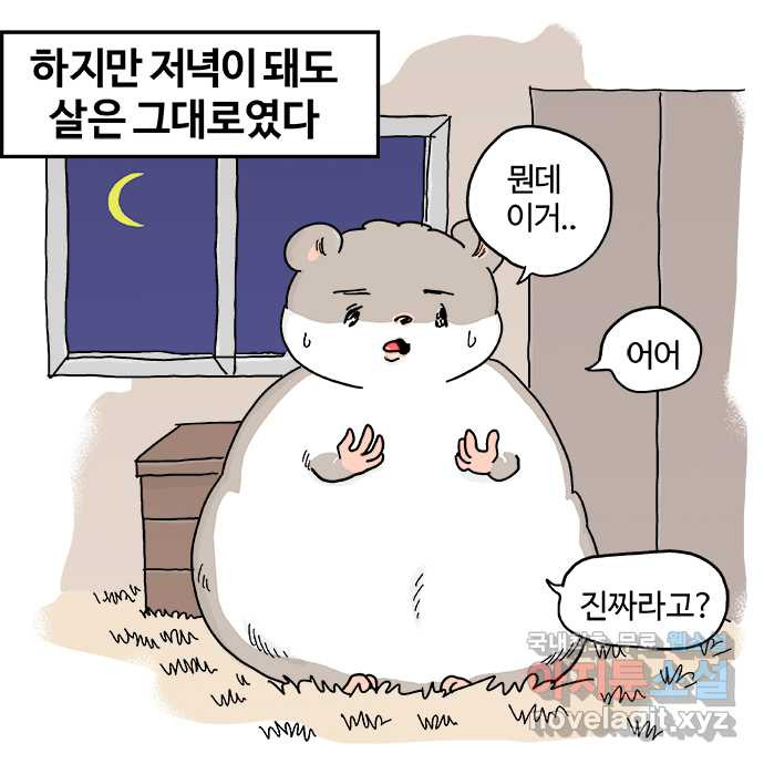 흔한햄 4화: 오동동통 햄 3
