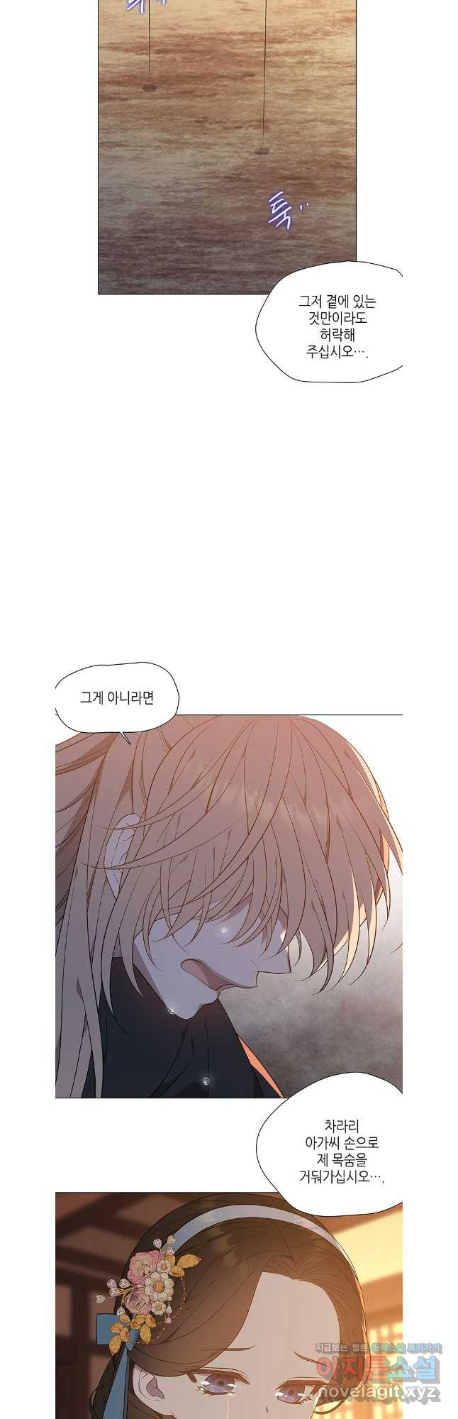 구애, 여우를 홀리다 66화 44