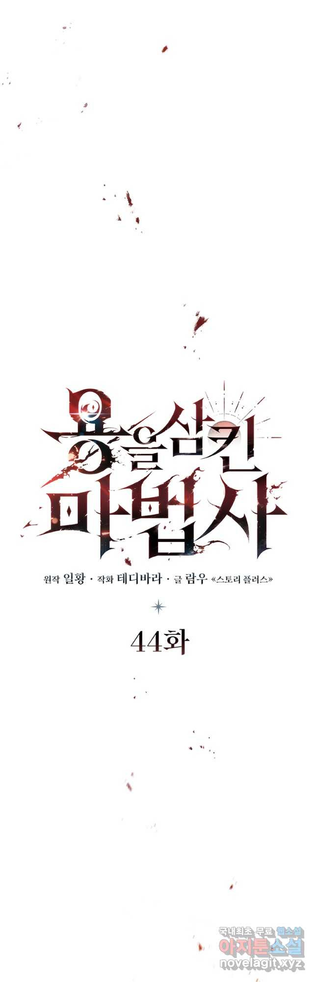 용을 삼킨 마법사 44화 18