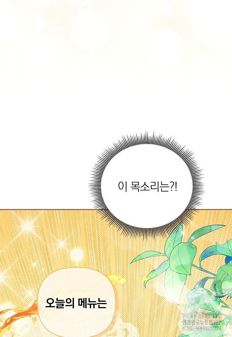 [속보] 대공님과의 결혼, 저도 지금 알아 10화 11