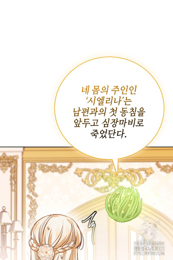 저주받은 공작가의 안주인이 되어 버렸다 9화 19