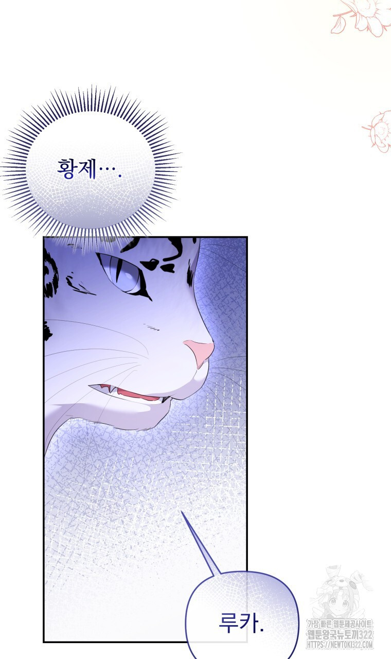 이혼해 주세요, 황제가 돼야 해서요 51화 6