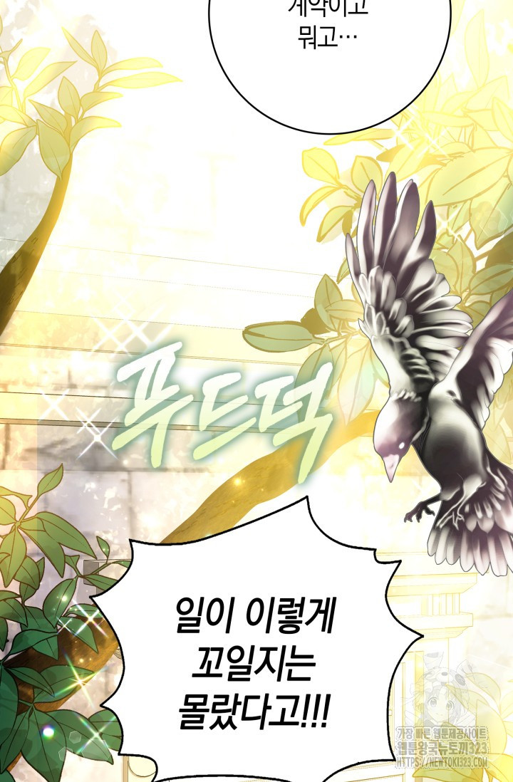 황제가 나를 시한부라고 생각해서 곤란하다 4화 48