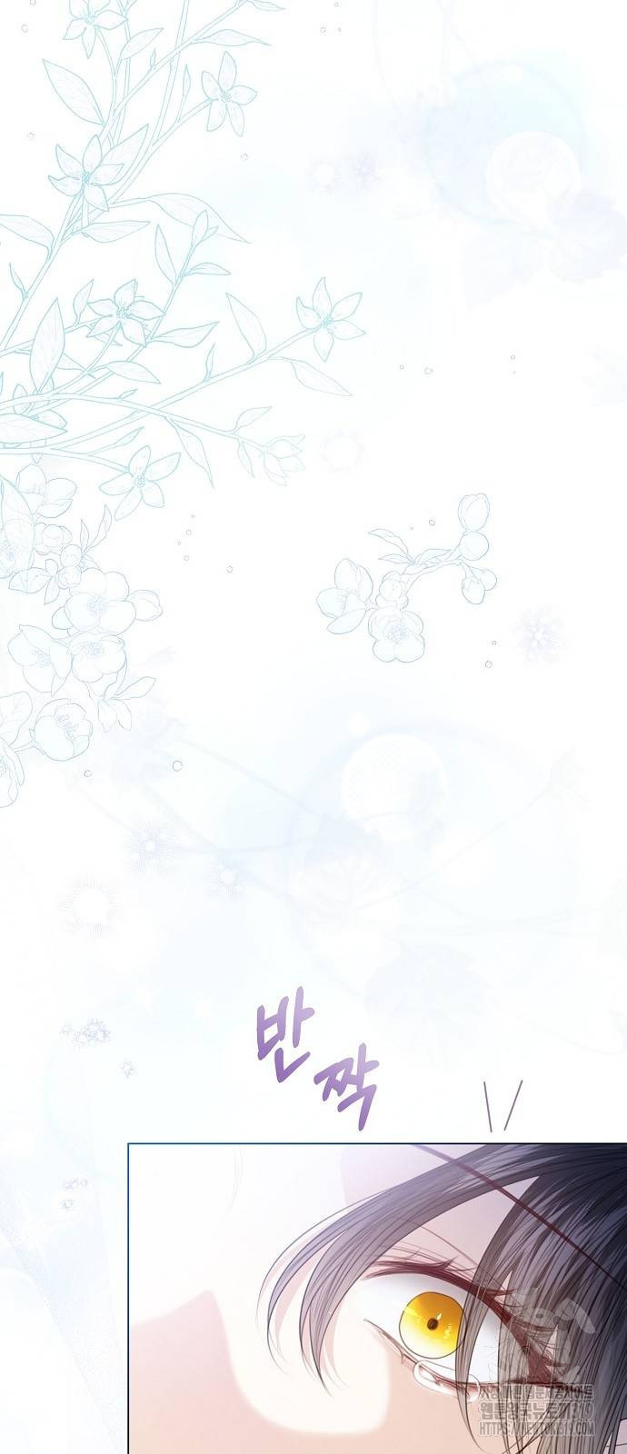 황후 자리를 버리겠습니다 55화 5
