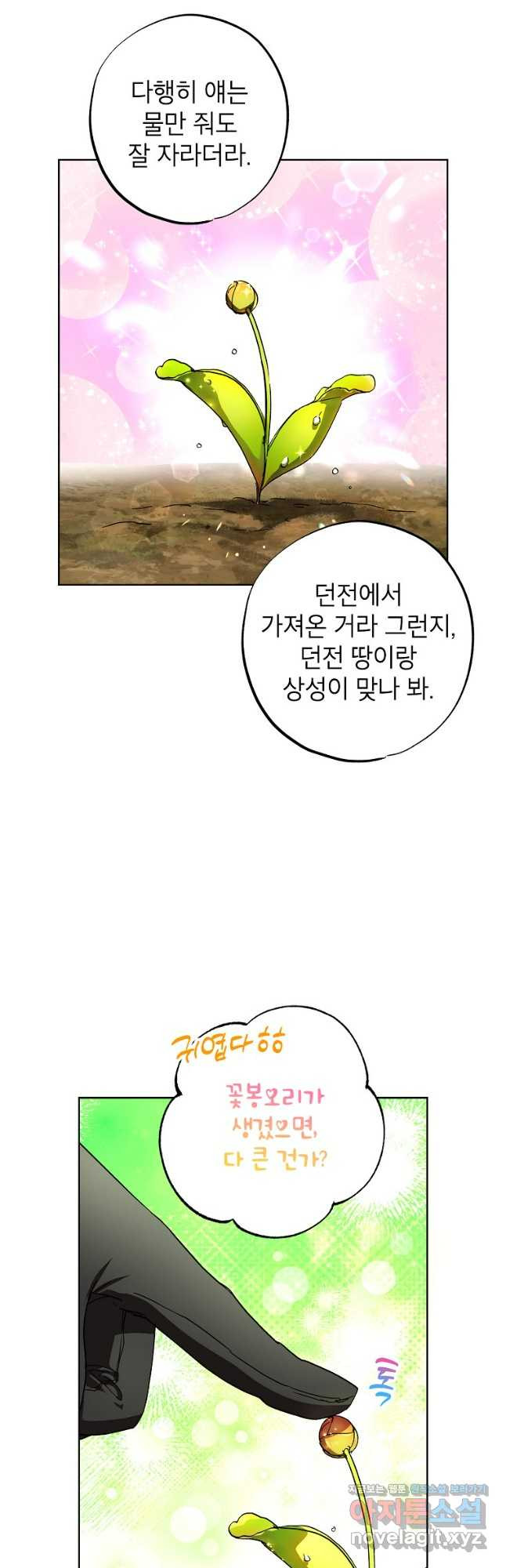 던전 안의 살림꾼 28화 42