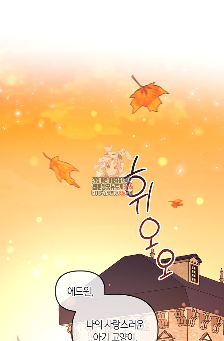 번데기 속 고양이 60화 1