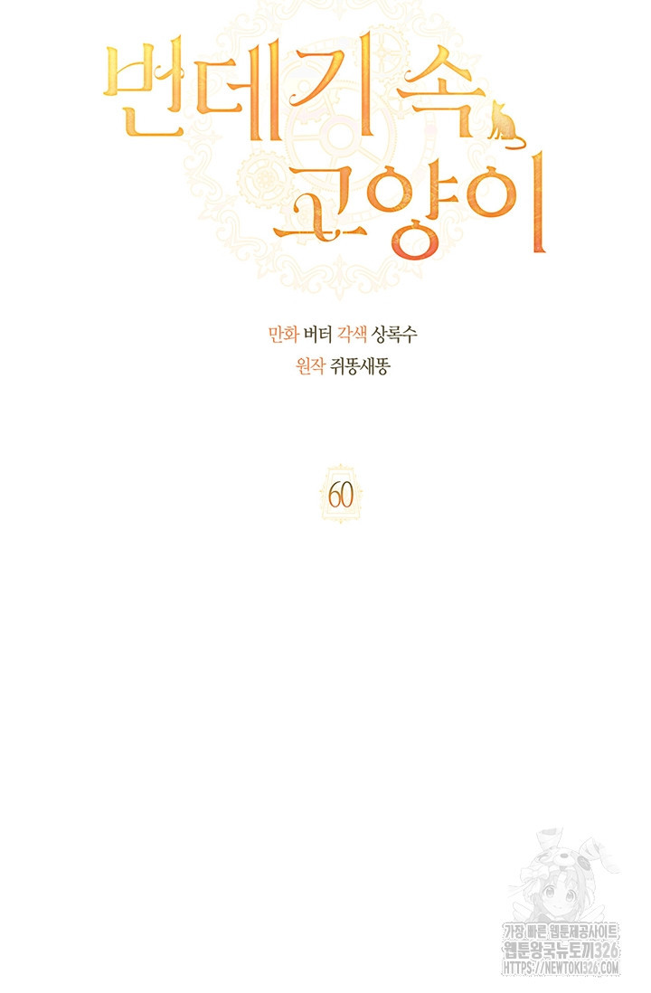 번데기 속 고양이 60화 11