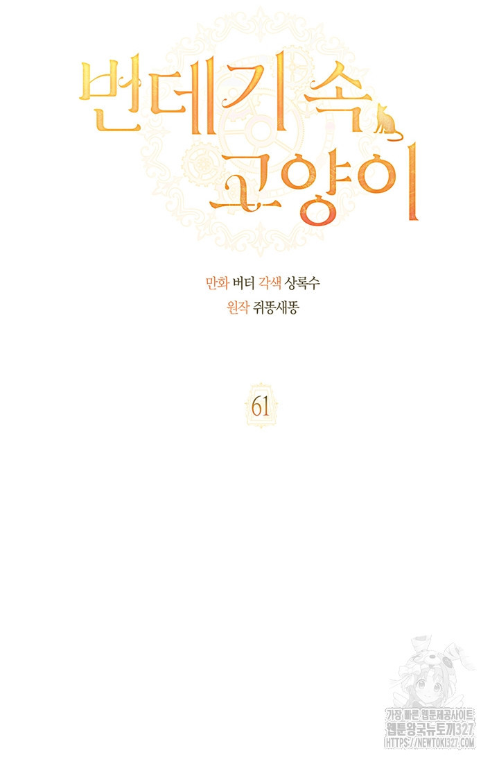 번데기 속 고양이 61화 14