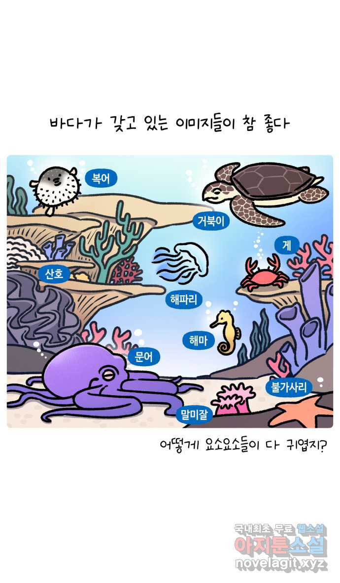 안녕, 나의 수집 123. 조개 소품 1