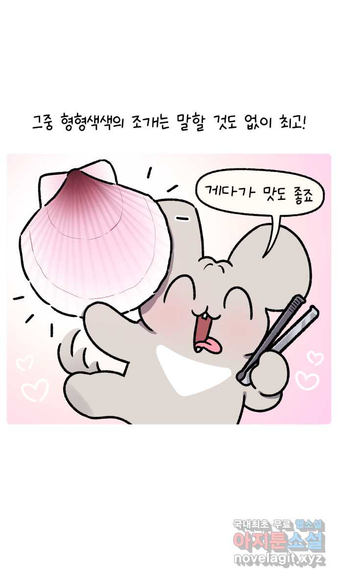 안녕, 나의 수집 123. 조개 소품 2