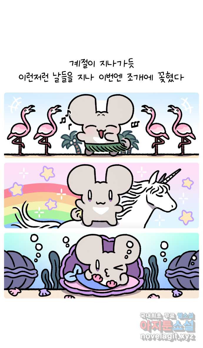 안녕, 나의 수집 123. 조개 소품 4